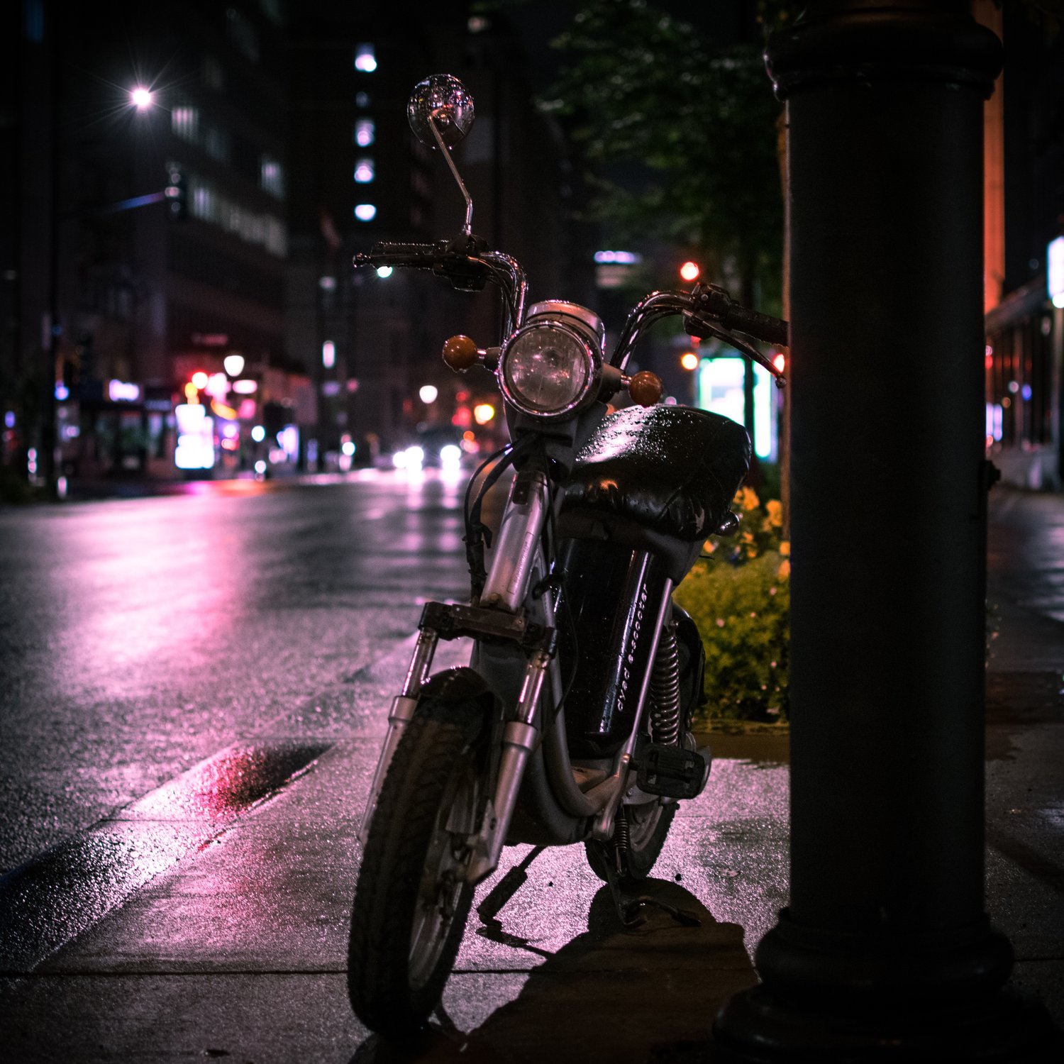 DSC_0454