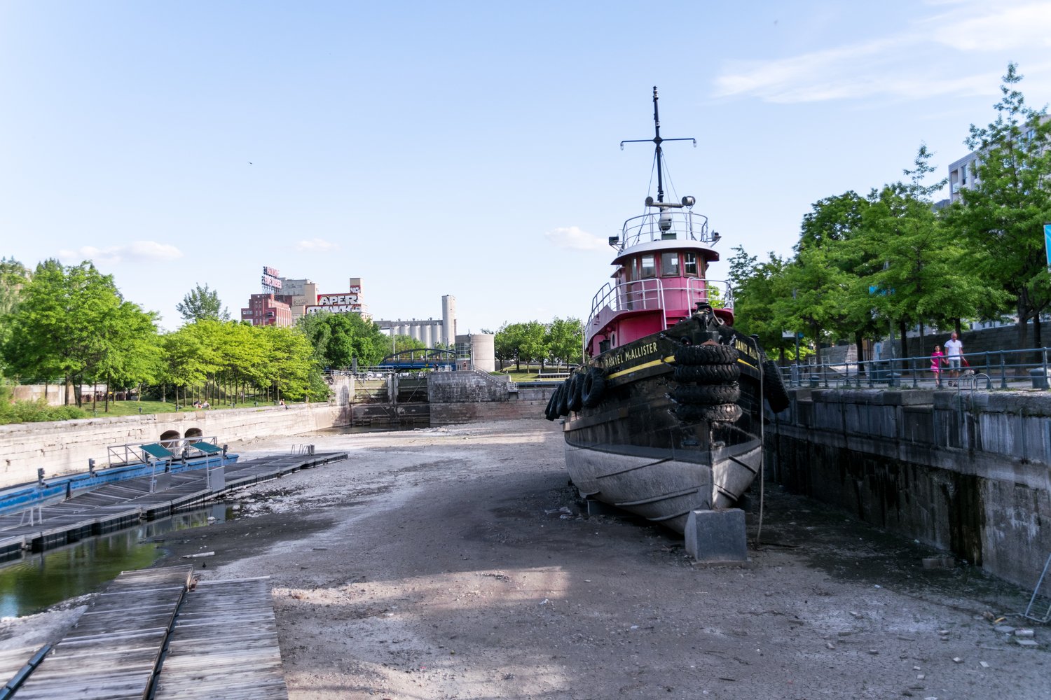 DSC_0660