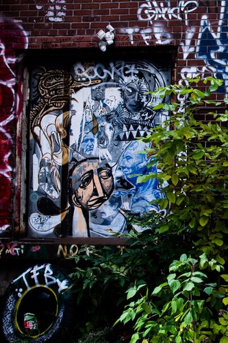 DSC_0535