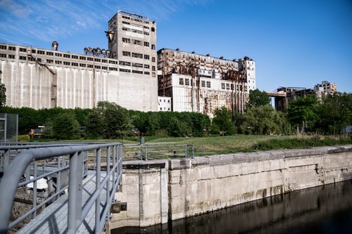 DSC_0664