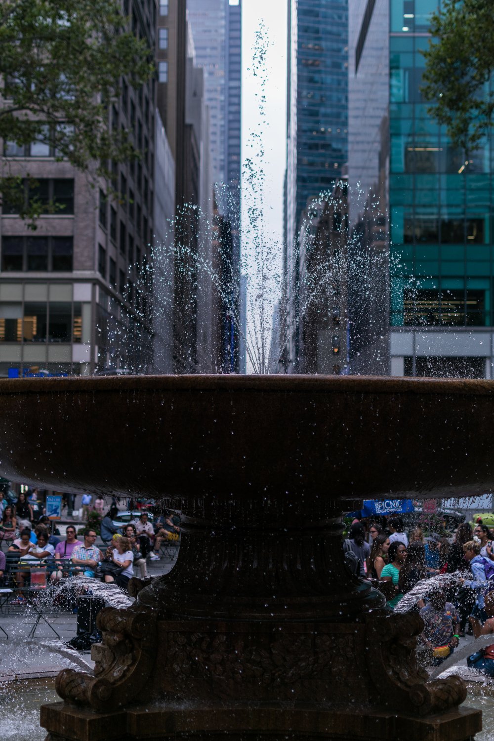 DSC_0240